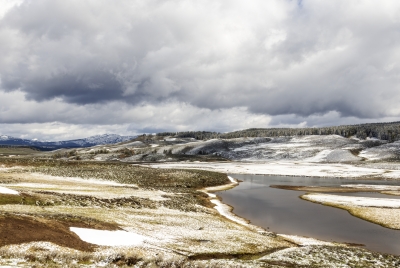 Yelllowstone River Spring 2025